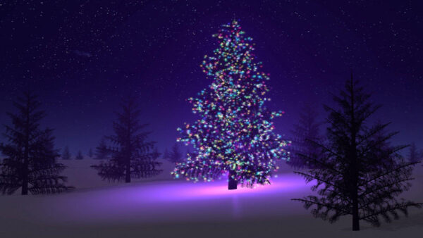 Wallpaper Christmas, Tree, Violet, Background, Desktop, Decorations, Light