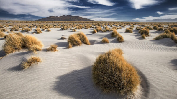 Wallpaper Nature, Landscape, White, Sand, Under, Desert, Sky, Blue