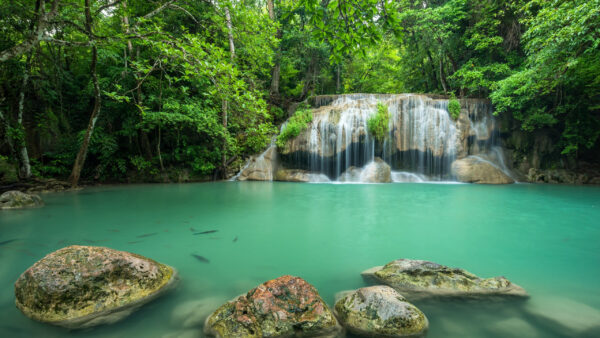 Wallpaper Body, Background, Forest, Trees, Nature, Green, Rocks, Water, Waterfalls, Clear