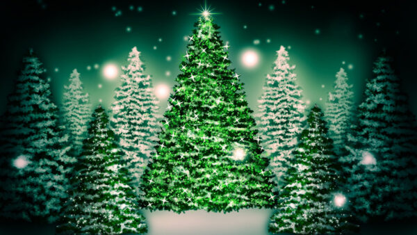 Wallpaper And, Tree, Desktop, With, Stars, Christmas, Ornaments, Decoration