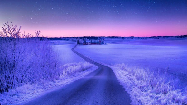 Wallpaper Snow, House, Pink, Road, Starry, Between, Under, Nature, Land, Sky, Covered, Purple, Trees