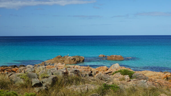 Wallpaper Desktop, Rocks, Mobile, Calm, Ocean, Water, Green, Beautiful, Body, Nature, Sky, Stones, Under, Blue, Grass