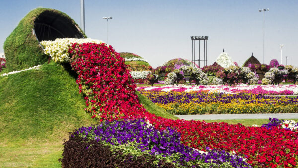 Wallpaper View, Nature, Plants, Flowers, Colorful, Beautiful, Garden, Field