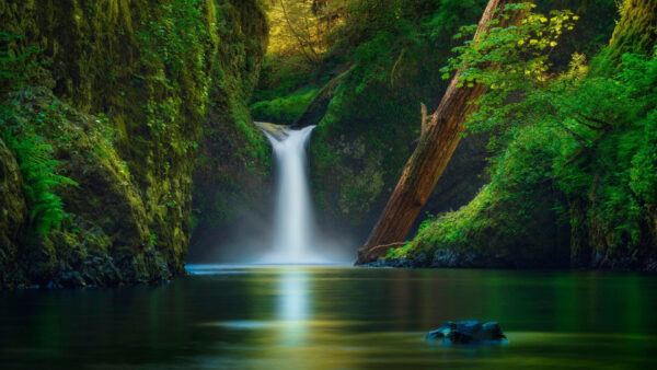 Wallpaper Beautiful, Waterfall, Green, Forest, Nature, Leaves, Lake, Rocks