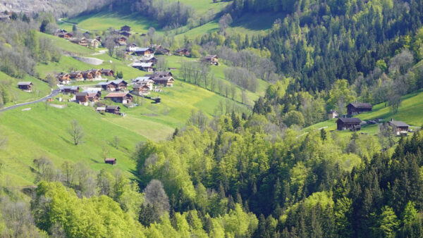 Wallpaper Trees, Aerial, Valley, Nature, View, Hills