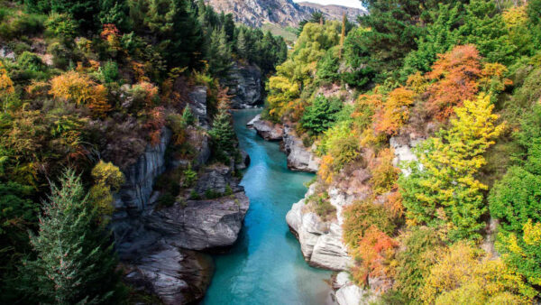 Wallpaper River, Green, Yellow, View, Rocks, Trees, Fall, Mountains, Aerial, Autumn