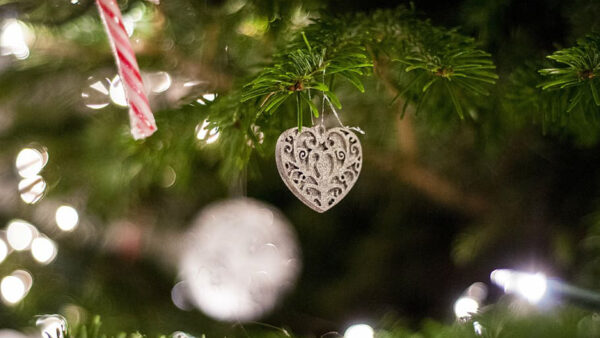 Wallpaper Bokeh, Tree, Cane, Christmas, Lights, Decoration, Candy