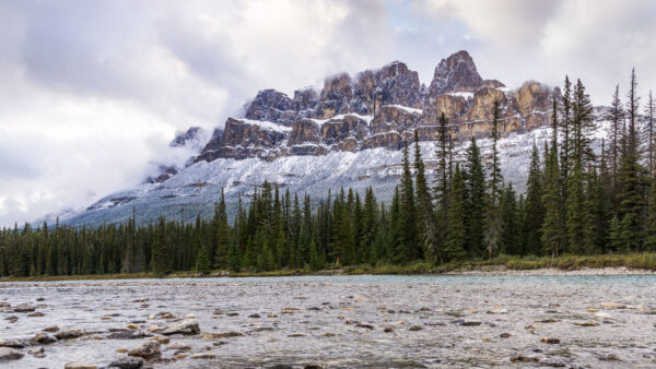 Wallpaper Rock, Nature, Trees, Landscape, With, Snow, Spruce, Stones, Bushes, River, Mountains, View