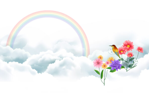 Wallpaper Rainbow, Bird