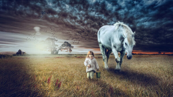 Wallpaper And, Horse, Girl, Cute