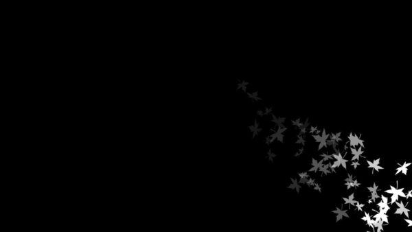 Wallpaper Side, White, Black, Dark, Background, Leaves, Desktop, With, Aesthetic