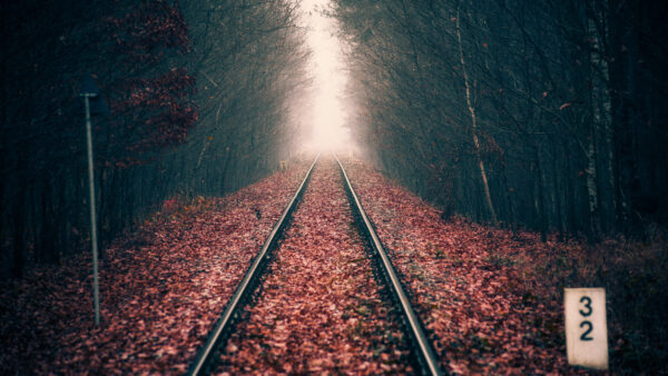 Wallpaper Track, Forest, Autumn, Rail