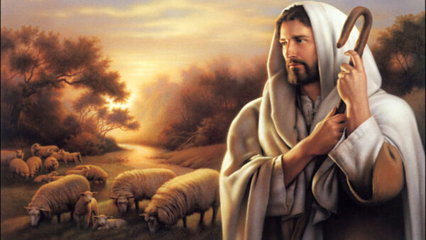 Wallpaper Flock, Sheep, With, God, Jesus