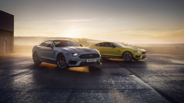 Wallpaper Mach, Desktop, Green, 2021, Ford, Mustang, Cars, Ash