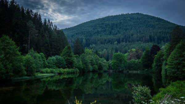 Wallpaper Desktop, Mobile, Reflection, Nighttime, Trees, Green, Forest, River, Blue, Mountain, Water, Between, Background, Nature, Sky, During, Slope