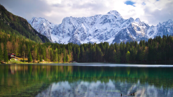 Wallpaper Trees, White, Snow, Covered, Mountains, Green, River, Mobile, Landscape, Nature, And, Blue, Reflection, Sky, Desktop, Clouds, View