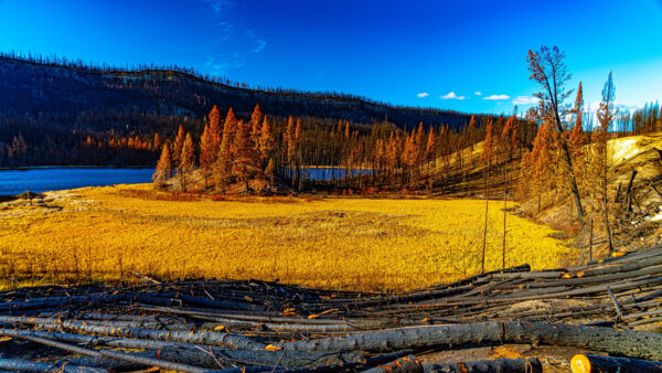 Wallpaper Under, Nature, Blue, Field, View, Trees, Greenery, Autumn, Grass, Sunlight, Desktop, River, Sky, Colorful, Mobile, Landscape, Mountains