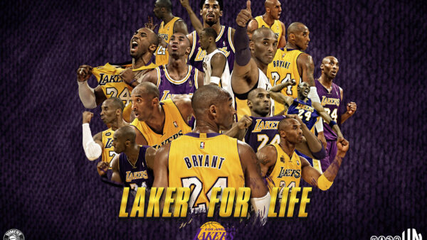 Wallpaper Lakers, Multiple, Images, Player, Bryant