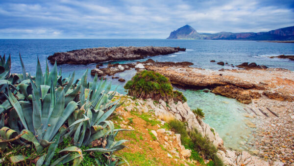 Wallpaper Sky, Plants, Clouds, Landscape, Mountain, Nature, Rocks, Ocean, Under, Green, View, Blue, White