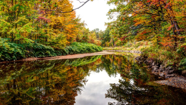 Wallpaper Lake, Under, Trees, Sky, Fall, Between, Clouds, Reflection, Water, White, Autumn, Leaves