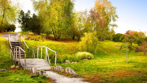 Wallpaper Wooden, Covered, Grass, Green, Nature, During, Bridge, Desktop, Daytime, Between, Land