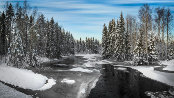 Wallpaper Trees, Sky, Mobile, Snow, Covered, During, Nature, Under, Desktop, Black, Winter, Blue, Water, River, Forest