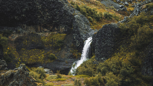 Wallpaper Waterfall, Plants, Nature, Desktop, Rocks, Near