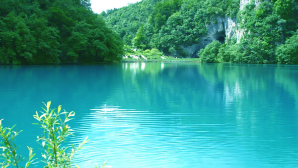 Wallpaper Greenery, Water, Nature, Turquoise