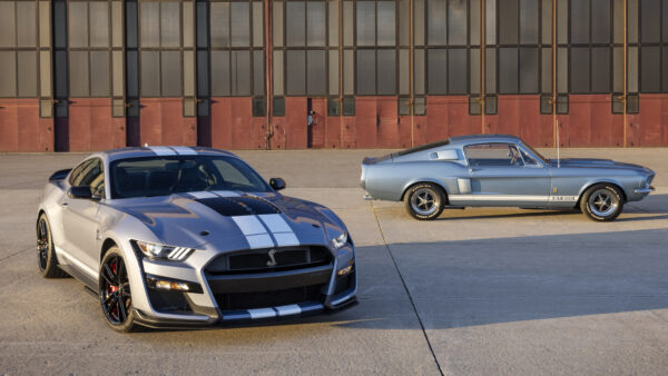Wallpaper 2022, Shelby, Heritage, Edition, Mustang, Cars, Ford, GT500