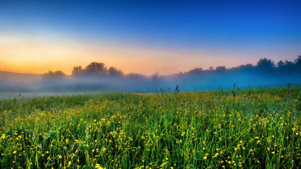 Wallpaper Blue, Field, Under, Sky, Foggy, Farm, Nature