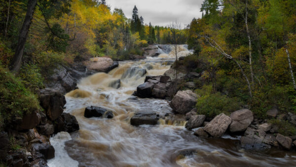 Wallpaper Stone, River, Fall, Stream, Forest, During, Nature, Desktop