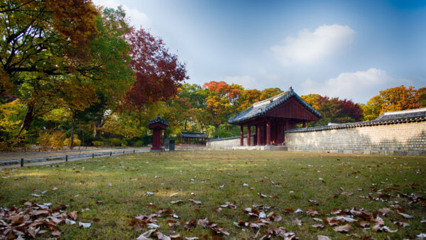 Wallpaper Colorful, Autumn, Architecture, Desktop, Leafed, Trees, Temple, Background, Mobile, Pagoda, Nature