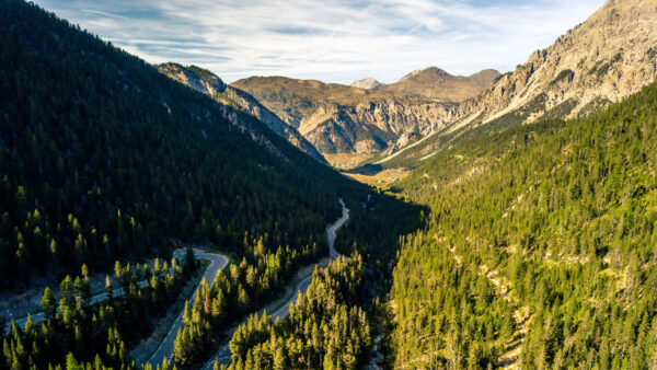 Wallpaper Mobile, Forest, Aerial, Desktop, View, Mountains, Slope, Nature, Road, Trees