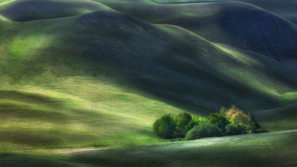 Wallpaper Desktop, Nature, Hills, Green, Grass