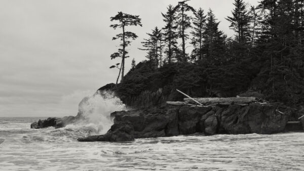 Wallpaper Desktop, Stones, Trees, Waves, Ocean, Rocks, Mobile, White, Green, Image, And, Nature, Black