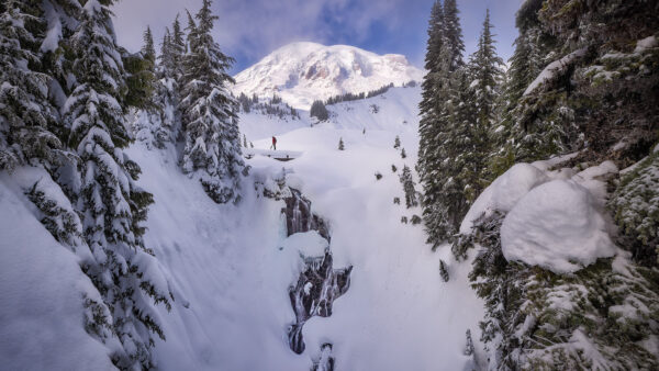 Wallpaper And, With, Covered, During, Waterfall, Snow, Forest, USA, Winter, Desktop