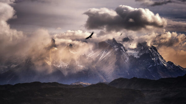 Wallpaper Cloud, Landscape, Andes, America, Bird, Mountain, South, Nature