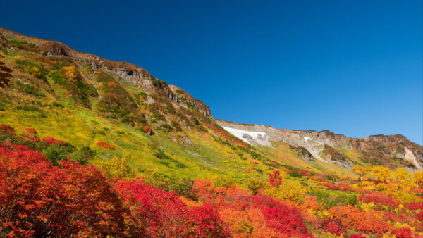 Wallpaper Blue, Desktop, Under, Piedmont, Autumn, Mountains, Sky, Colorful, Mobile, Trees