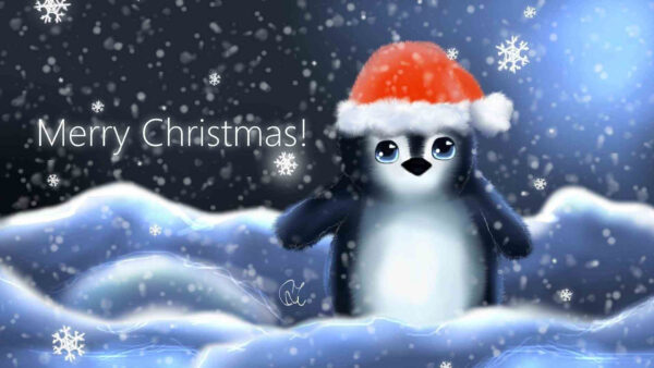 Wallpaper Penguin, With, Cute, Snow, Christmas, Cap, Santa