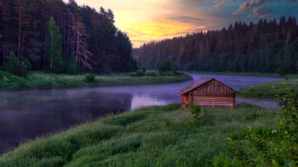 Wallpaper Sky, Forest, River, Under, Between, Water, Reflection, And, Trees, Green, Black, Grass, Yellow, Nature, Clouds