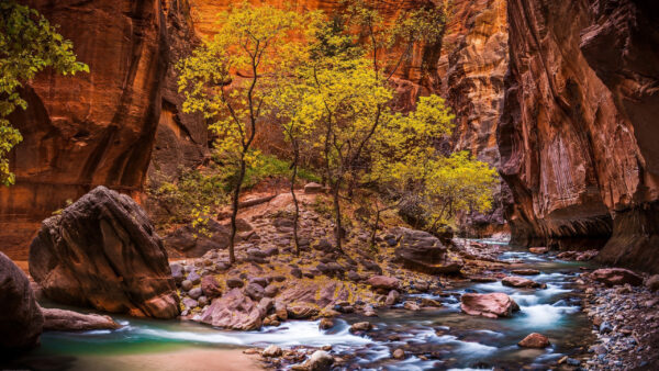 Wallpaper Cave, Stream, Rocks, Trees, Stones, Water, Green, Nature