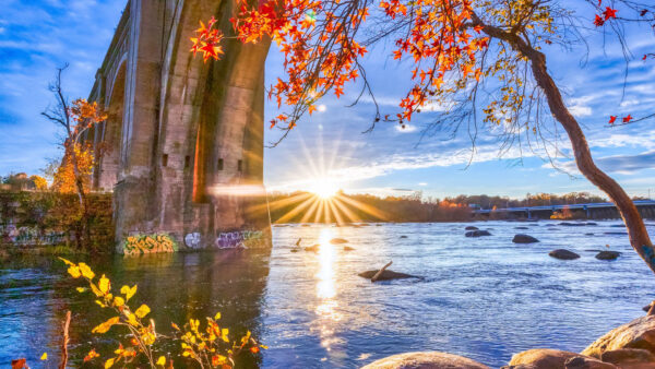 Wallpaper Sky, And, River, Sunlight, Nature, Under, Blue, With, Trees, Autumn, Above, View, Bridge, Landscape