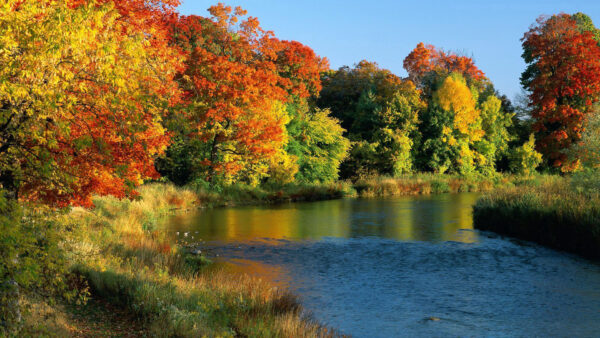 Wallpaper Fall, Green, Autumn, Sky, Beautiful, Red, Between, River, Yellow, Blue, Trees, Background
