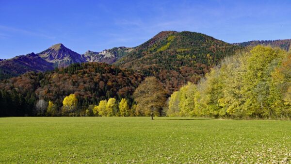 Wallpaper Forest, Mountain, Field, Sky, Colorful, Trees, Grass, Landscape, Mobile, Desktop, Autumn, Blue, Background, Bushes, Slope, Nature, View