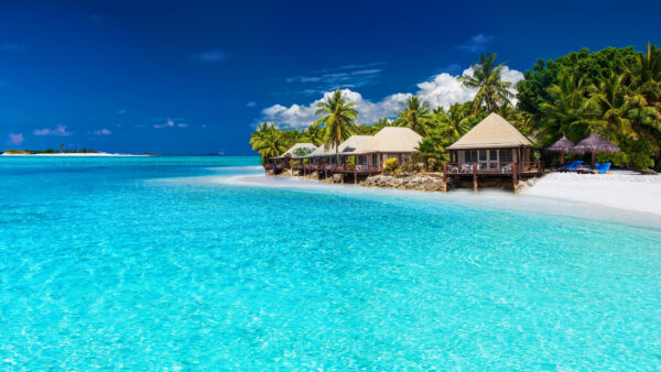 Wallpaper Water, Huts, Calm, Sand, Body, Palm, Beach, And, Trees, Near