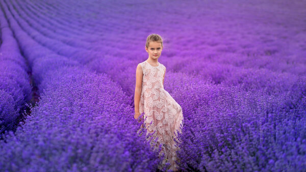 Wallpaper Lavender, Cute, White, Desktop, Purple, Girl, Standing, Wearing, Field, Background, Dress