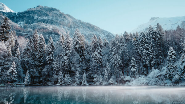 Wallpaper Snow, Mobile, Covered, Mountain, Winter, Sky, Nature, Switzerland, And, Desktop, Blue, Trees, During, Lake, Under