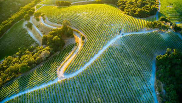 Wallpaper View, Bushes, Mobile, Farm, Sunrise, Nature, Road, During, Greenery, Aerial, Beautiful, Trees, Desktop