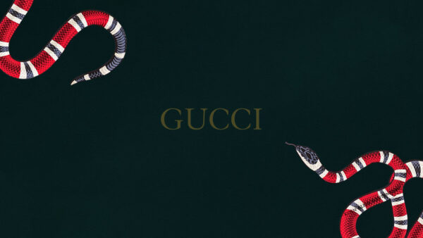 Wallpaper Gucci, With, Red, Snake, Background, Green, Black, Word, Desktop