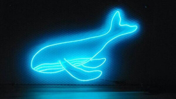 Wallpaper Neon, Aesthetic, Blue, Whale